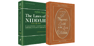 Niddah/Purity